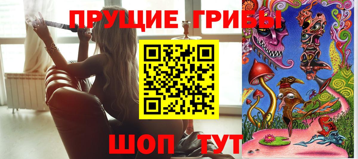 Гусь-Хрустальный  Галлюциногенные грибы прущие грибы  Вход с VPN 